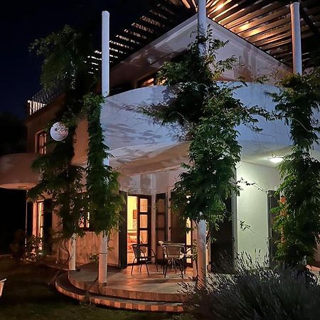 Green Villa In Olives Bar Extérieur photo